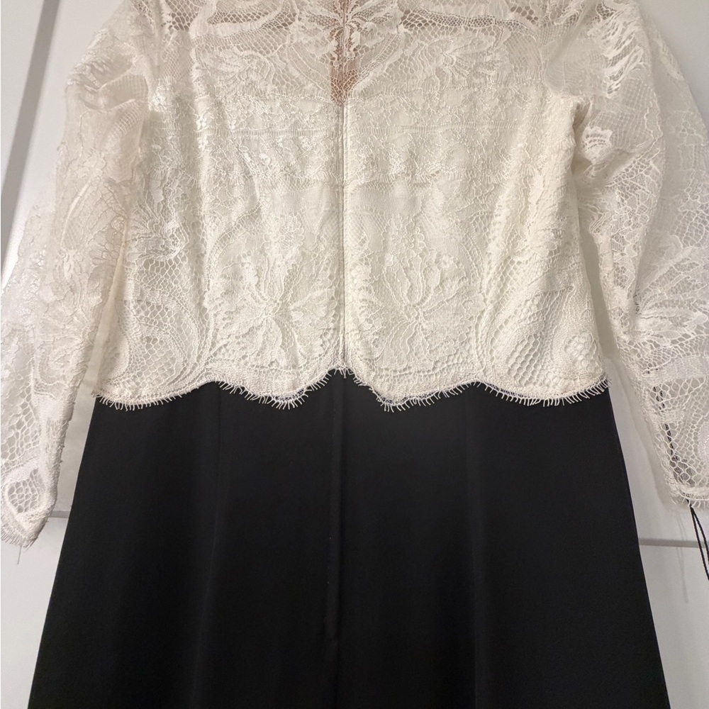 New Tadashi Shoji Lacecrepe Gown in Ivory and Black - Picture 3 of 10